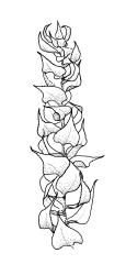 Eurhynchium asperipes, branch detail, dry. Drawn from A.J. Fife 6828, CHR 449024.
 Image: R.C. Wagstaff © Landcare Research 2019 CC BY 3.0 NZ